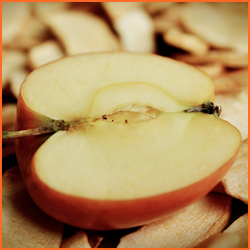 りんごの簡単な乾燥方法