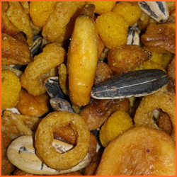 乾燥機で作るドライフルーツ